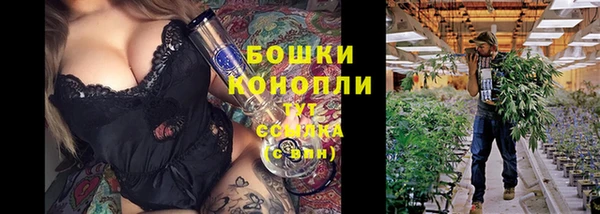 a pvp Алексин